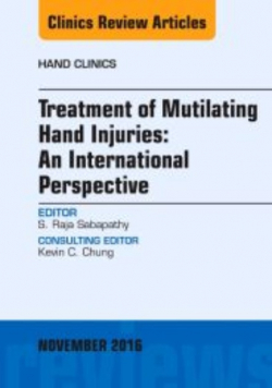 Treatment of Mutilating Hand Injuries An International Perspective