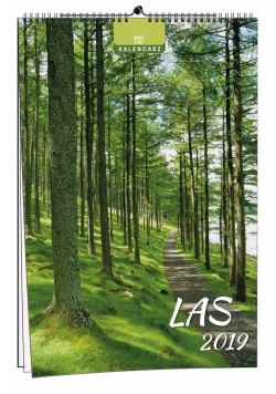 Kalendarz 2019 7 Plansz - Las EV-CORP