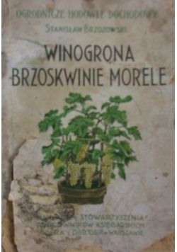 Winogrona -Brzoskwinie- Morele,1928r.