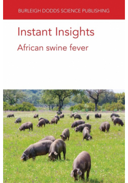 Instant Insights