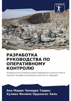 РАЗРАБОТКА РУКОВОДСТВА ПО ОПЕРАТИВНОМУ КОНТРОЛЮ
