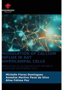 Modulation Of Calcium Influx In Rat Hippocampal Cells