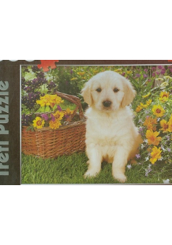 Puzzle 500 Labradorek w ogrodzie