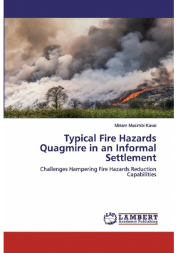 Typical Fire Hazards Quagmire in an Informal Settlement