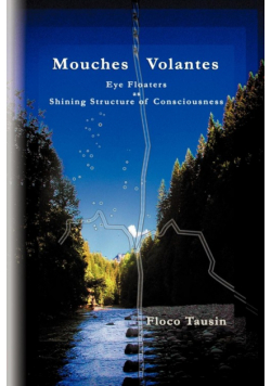 Mouches Volantes - Eye Floaters as Shining Structure of Consciousness