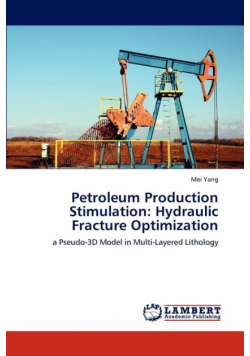 Petroleum Production Stimulation