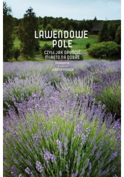 Lawendowe pole