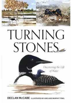 Turning Stones