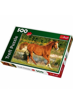 Puzzle 500 Piękno galopu