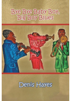 Bye Bye Baby Boy, Big Boy Blues