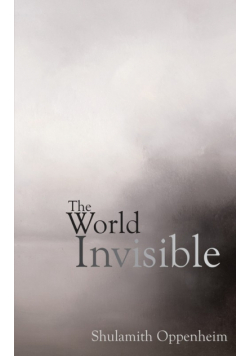 The World Invisible