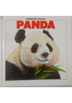 Panda Zwierzęta świata