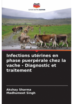 Infections utérines en phase puerpérale chez la vache - Diagnostic et traitement