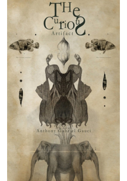 The Curious Artifact