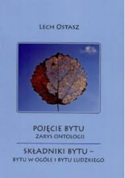 Pojęcie bytu zarys ontologii