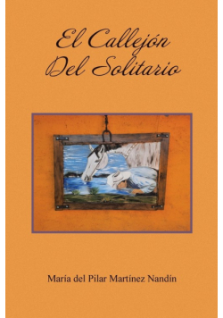 El Callejón Del Solitario