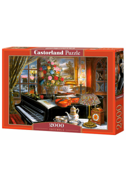 Puzzle Ensemble 2000