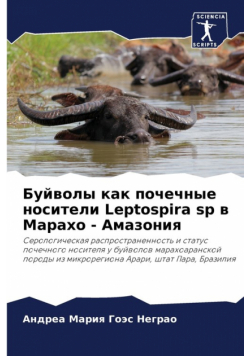 Буйволы как почечные носители Leptospira sp в Марахо - Амазония