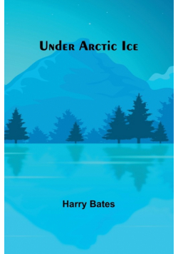 Under Arctic Ice
