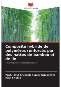Composite hybride de polymères renforcés par des nattes de bambou et de lin