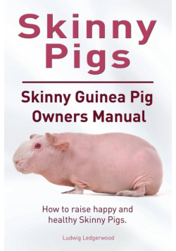 Skinny Pig. Skinny Guinea Pigs Owners Manual. How to raise happy and healthy Skinny Pigs.