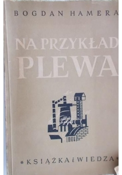 Na przykład Plewa