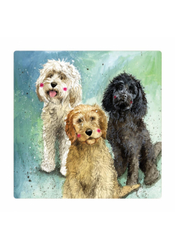 Magnes FM229 Psy Cockapoo