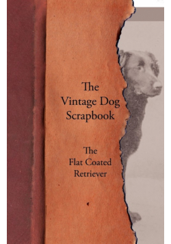 The Vintage Dog Scrapbook - The Flat Coated Retriever