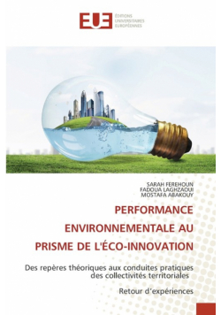 Performance Environnementale Au Prisme De L'éco-Innovation