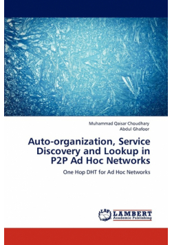 Auto-organization, Service Discovery and Lookup in P2P Ad Hoc Networks