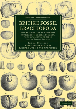British Fossil Brachiopoda - Volume 5