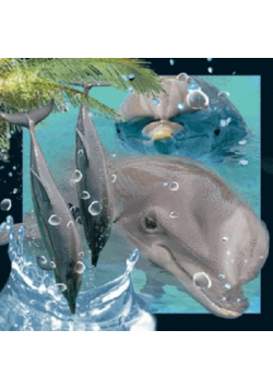 Magnes 3D - Delfin