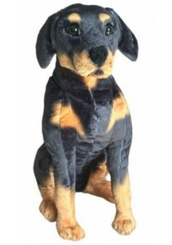 Rotweilleri siedzący 65cm