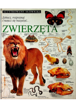 Ilustrowane słowniki Zwierzęta