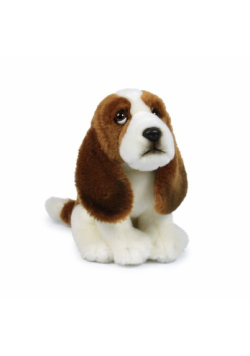Basset 19 cm
