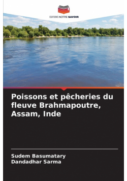 Poissons et pêcheries du fleuve Brahmapoutre, Assam, Inde