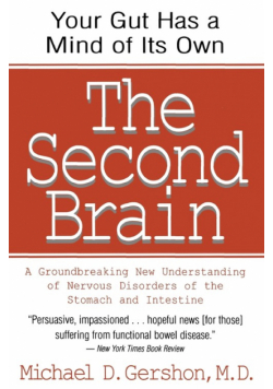 Second Brain, The