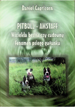 Pitbull  Amstaff Wściekła bestia czy cudowny fenomen psiego gatunku