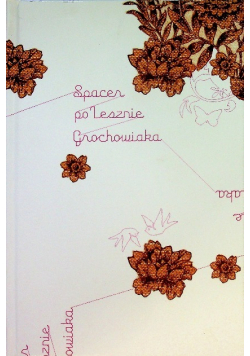 Spacer po Lesznie Grochowiaka