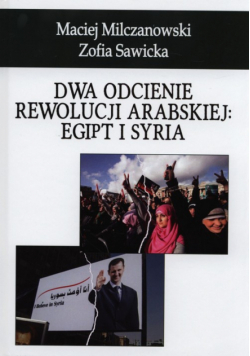 Dwa odcienie rewolucji arabskiej: Egipt i Syria