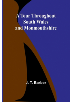 A Tour throughout South Wales and Monmouthshire