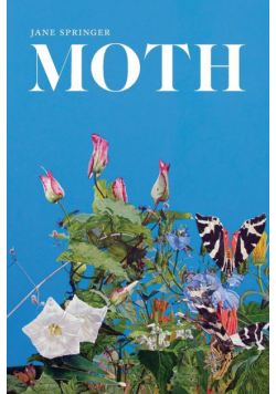 Moth
