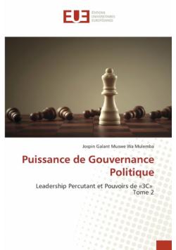 Puissance de Gouvernance Politique