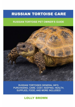 Russian Tortoise Care