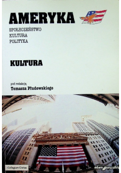 Ameryka kultura