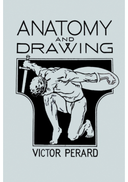 Anatomy and Drawing