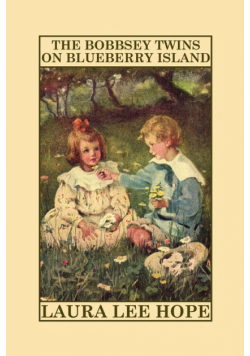 The Bobbsey Twins on Blueberry Island