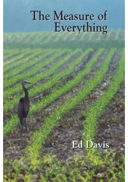 The Measure of Everything