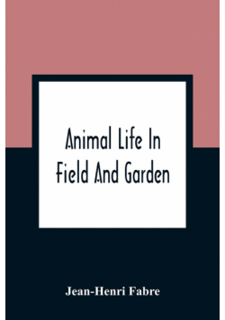 Animal Life In Field And Garden