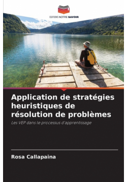 Application de stratégies heuristiques de résolution de problèmes